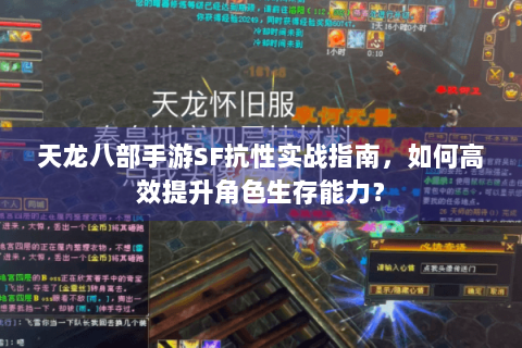 天龙八部手游SF抗性实战指南，如何高效提升角色生存能力？