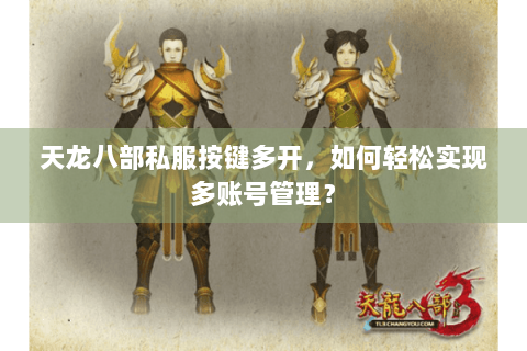 天龙八部私服按键多开，如何轻松实现多账号管理？