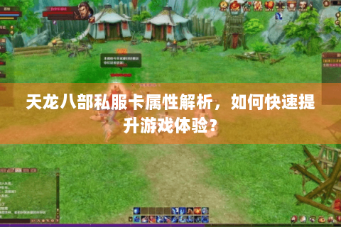 天龙八部私服卡属性解析，如何快速提升游戏体验？
