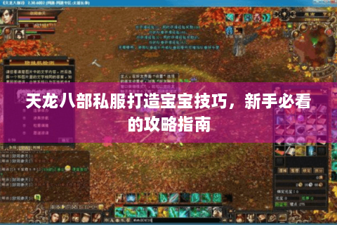 天龙八部私服打造宝宝技巧，新手必看的攻略指南