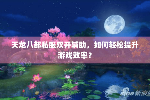 天龙八部私服双开辅助，如何轻松提升游戏效率？