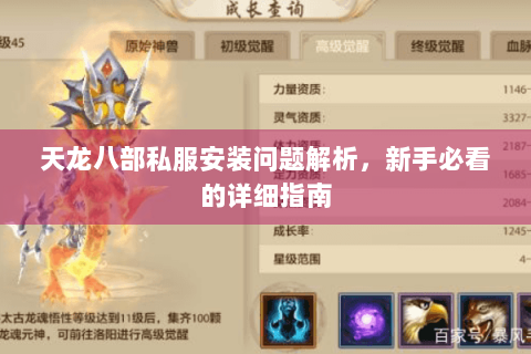 天龙八部私服安装问题解析，新手必看的详细指南