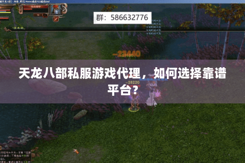 天龙八部私服游戏代理，如何选择靠谱平台？