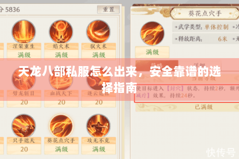 天龙八部私服怎么出来，安全靠谱的选择指南