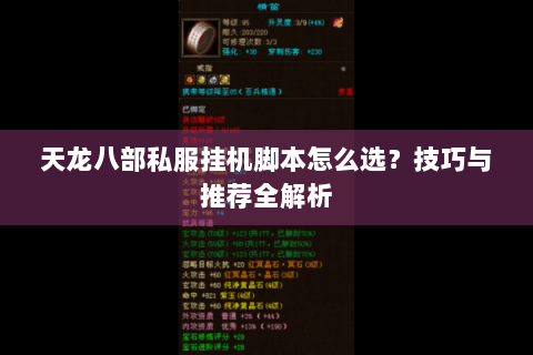 天龙八部私服挂机脚本怎么选？技巧与推荐全解析