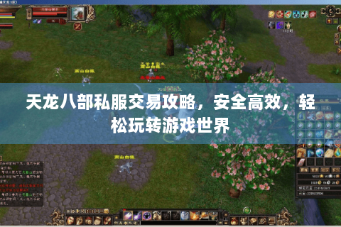 天龙八部私服交易攻略，安全高效，轻松玩转游戏世界