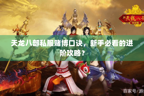 天龙八部私服赌博口诀，新手必看的进阶攻略？