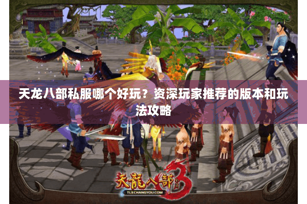 天龙八部私服哪个好玩？资深玩家推荐的版本和玩法攻略