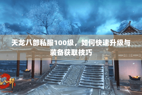 天龙八部私服100级,如何快速升级与装备获取技巧 天龙八部私服100级,如何快速升级与装备获取技巧