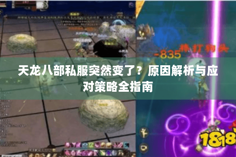 天龙八部私服突然变了？原因解析与应对策略全指南