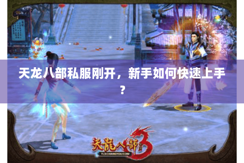 天龙八部私服刚开，新手如何快速上手？