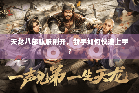 天龙八部私服刚开，新手如何快速上手？