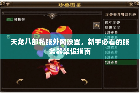 天龙八部私服外网设置，新手必看的服务器架设指南