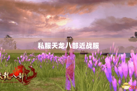 私服天龙八部近战服