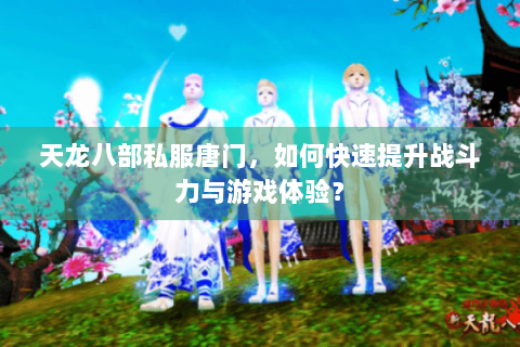 天龙八部私服唐门，如何快速提升战斗力与游戏体验？