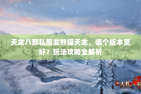 天龙八部私服发熊猫天龙，哪个版本更好？玩法攻略全解析