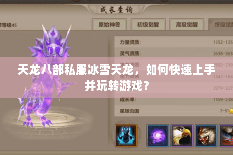 天龙八部私服冰雪天龙，如何快速上手并玩转游戏？