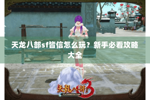 天龙八部sf皆信怎么玩？新手必看攻略大全