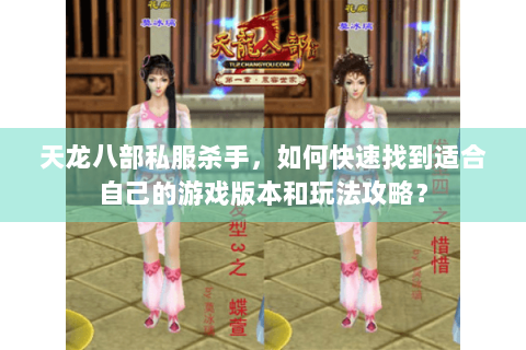 天龙八部私服杀手，如何快速找到适合自己的游戏版本和玩法攻略？