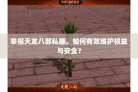 举报天龙八部私服，如何有效维护权益与安全？
