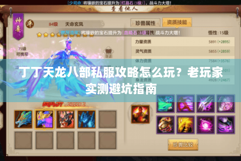 丁丁天龙八部私服攻略怎么玩？老玩家实测避坑指南