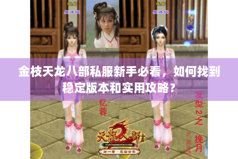 金枝天龙八部私服新手必看，如何找到稳定版本和实用攻略？