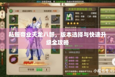 私服帝业天龙八部，版本选择与快速升级全攻略