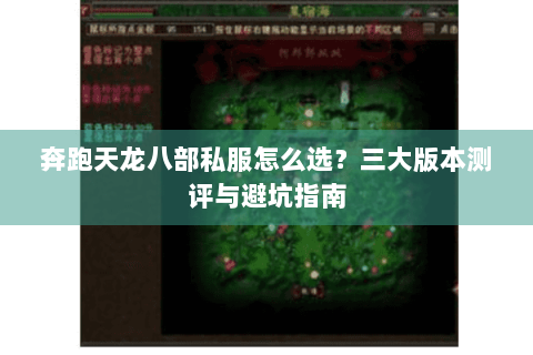 奔跑天龙八部私服怎么选？三大版本测评与避坑指南