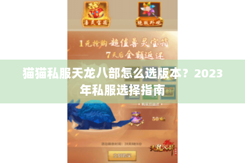 猫猫私服天龙八部怎么选版本？2023年私服选择指南