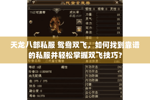 天龙八部私服 鸳鸯双飞，如何找到靠谱的私服并轻松掌握双飞技巧？