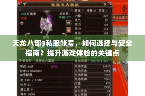 天龙八部3私服帐号，如何选择与安全指南？提升游戏体验的关键点
