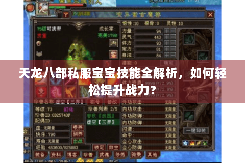 天龙八部私服宝宝技能全解析，如何轻松提升战力？