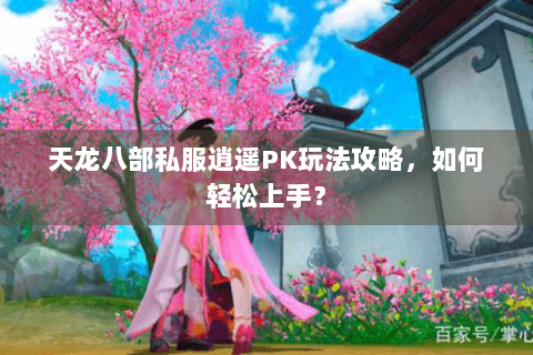 天龙八部私服逍遥PK玩法攻略，如何轻松上手？