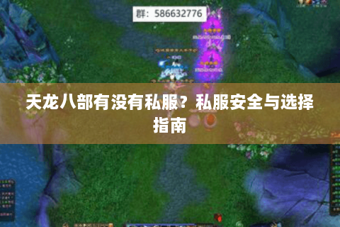 天龙八部有没有私服？私服安全与选择指南