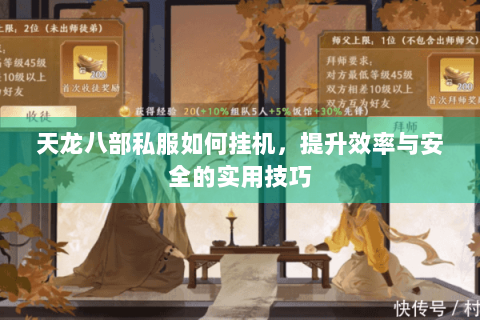 天龙八部私服如何挂机，提升效率与安全的实用技巧