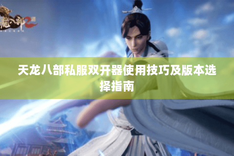 天龙八部私服双开器使用技巧及版本选择指南