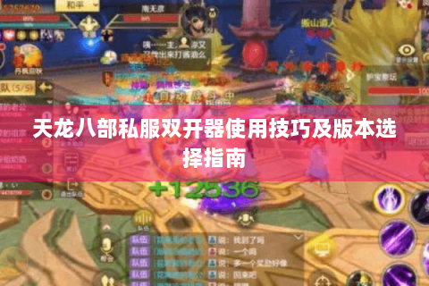 天龙八部私服双开器使用技巧及版本选择指南