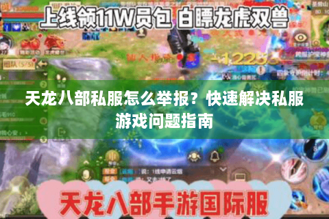 天龙八部私服怎么举报？快速解决私服游戏问题指南