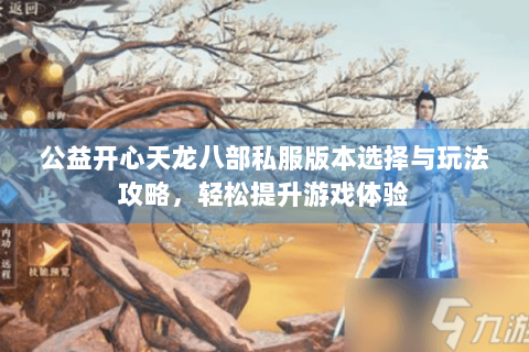 公益开心天龙八部私服版本选择与玩法攻略，轻松提升游戏体验