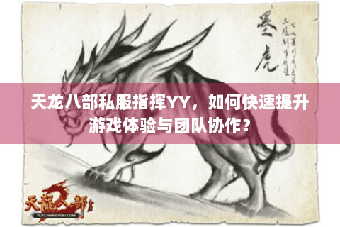 天龙八部私服指挥YY，如何快速提升游戏体验与团队协作？