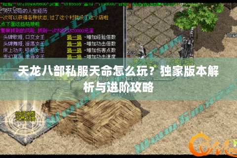 天龙八部私服天命怎么玩？独家版本解析与进阶攻略