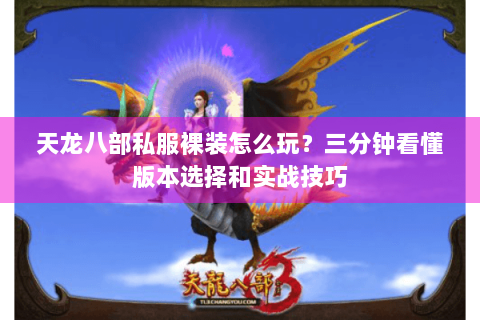 天龙八部私服裸装怎么玩？三分钟看懂版本选择和实战技巧