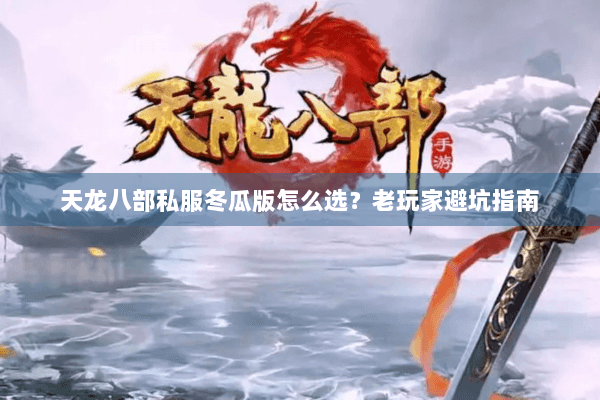 天龙八部私服冬瓜版怎么选？老玩家避坑指南