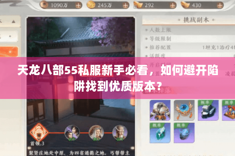 天龙八部55私服新手必看，如何避开陷阱找到优质版本？
