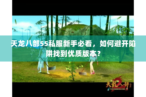 天龙八部55私服新手必看,如何避开陷阱找到优质版本? 天龙八部55私服新手必看,如何避开陷阱找到优质版本?