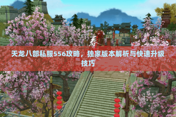 天龙八部私服556攻略，独家版本解析与快速升级技巧