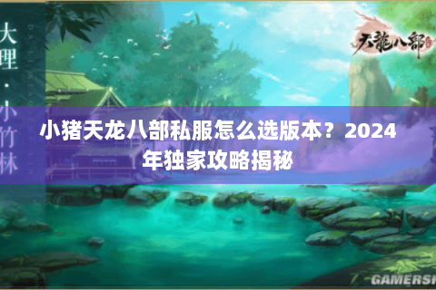 小猪天龙八部私服怎么选版本？2024年独家攻略揭秘