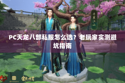 PC天龙八部私服怎么选？老玩家实测避坑指南