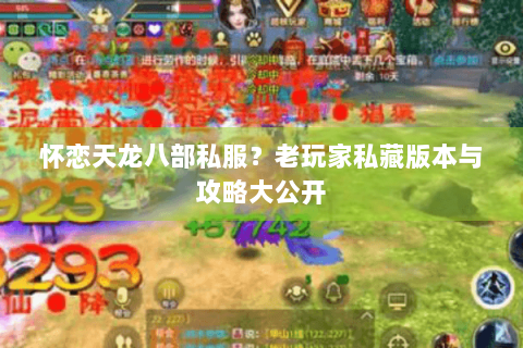 怀恋天龙八部私服？老玩家私藏版本与攻略大公开