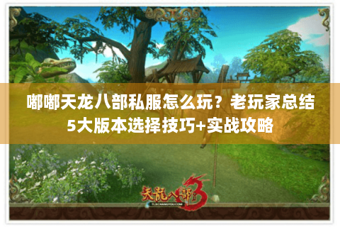 嘟嘟天龙八部私服怎么玩？老玩家总结5大版本选择技巧+实战攻略
